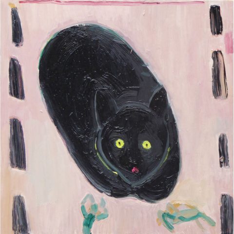 Cat Face – painting by Georgia Hayes