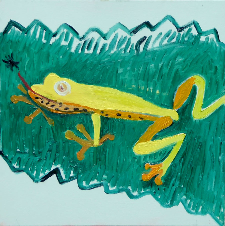 Jungle Frog by Georgia Hayes